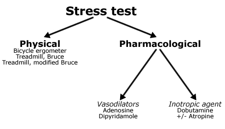 stress test