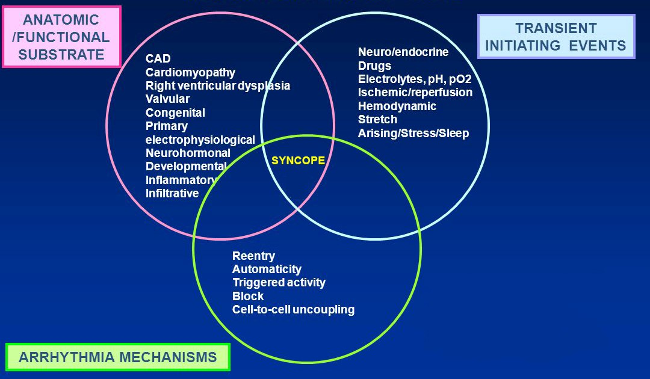 Potential mechanisms of syncope during exercise