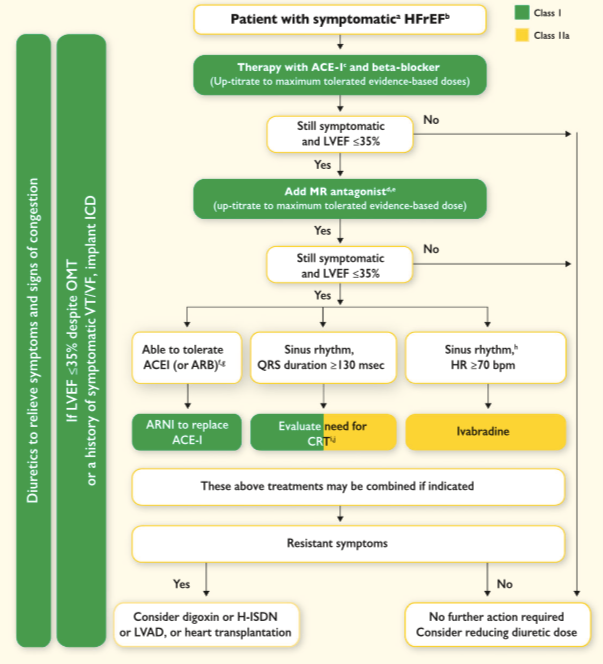 European Society of Cardiology Heart Failure algorithm