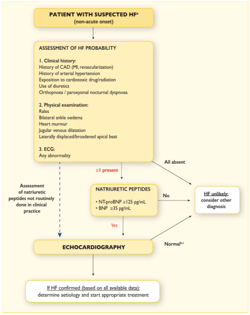 European Society of Cardiology Heart Failure algorithm