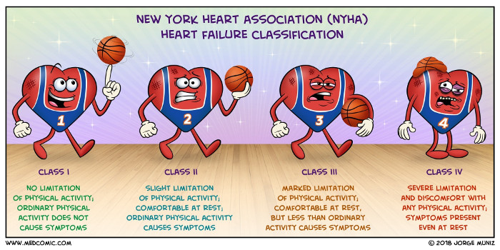 Heart Failure Classification